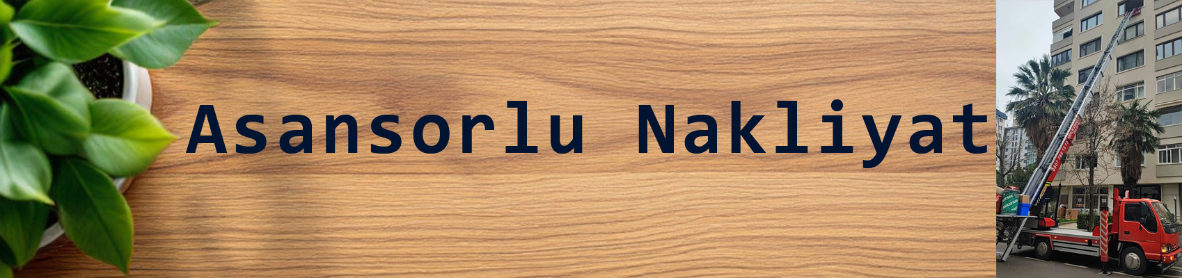 Asansörlü Taşımacılık 1